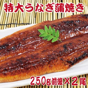 特大うなぎ蒲焼き2尾セット (1尾あたり250g前後) 訳あり 特製たれ & 山椒付