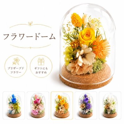 送料無料 プリザーブドフラワー ＜フラワードーム＞／メッセージラベル 花 メッセージカード 結婚記念日 プレゼント ギフト 結婚祝い ウェディング 新郎 新婦 誕生日 プロポーズ お祝い 女性 妻 ナチュラル かわいい おしゃれ フラワー 開店祝い 入学祝い 卒業祝い バラ  母の日