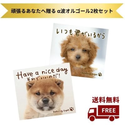 頑張るあなたへ贈る α波オルゴールセット|  CD BGM ヒーリング やすらぎ 心地良い 安心感 音楽 癒し ミュージック 不眠 赤ちゃん J-POP 西野カナ ミスチル コブクロ 星野源 嵐 送料無料 健康 睡眠グッズ ギフト プレゼント