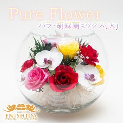 プリザーブドフラワー ボトルフラワー 送料無料  ピュアフラワー(バラ：胡蝶蘭：ミックス(大)) P-LSR-25【母の日 敬老の日 誕生日 記念日 高級 ギフト 結婚祝い 開店祝い 退職祝い 卒業祝い プレゼント 花 ギフト Gift バースデー】