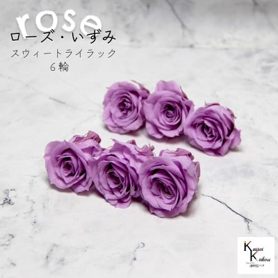 大地農園！プリザーブドフラワー 「ローズいずみ 6輪 スウィートライラック」プリザ 花材 ハーバリウム おしゃれ かわいい プレゼント 贈り物　オオチノウエン バラ 薔薇 ローズ rose