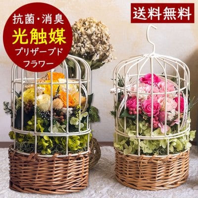 結婚祝い 花 プレゼントプリザーブドフラワー ギフト 電報 結婚式 祝電 退職祝い 誕生日プレゼント おしゃれ 花 女友達 母親 女性 義母 結婚記念日 両親 妻 新築祝い 時計 還暦祝い 古希 米寿 男性 お祝い ブリザードフラワー 送料無料 贈り物