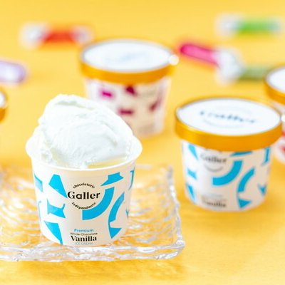 お歳暮 ガレー プレミアムアイスクリーム8個セット 食品 ギフト プレゼント 贈答 熨斗 のし 贈り物 記念日 お祝い 冠婚葬祭 内祝 御祝 無地 出産内祝 結婚内祝 御見舞 快気祝 御仏前 志 お供(代引不可)【送料無料】