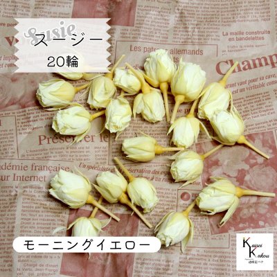 大地農園！プリザーブドフラワー 「スージー モーニングイエロー 20輪」プリザ 花材 ハーバリウム おしゃれ かわいい プレゼント 贈り物　オオチノウエン