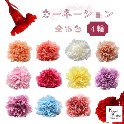 大地農園！ プリザーブドフラワー 「カーネーション　4輪　選べる」プリザ ドライフラワー 花材 装飾 ハーバリウム 母の日 おしゃれ かわいい プレゼント 贈り物 オオチノウエン