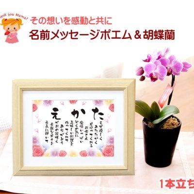 5月10日 母の日当日指定可能　想いを伝える感動のプレゼント『名前詩＆ミディー胡蝶蘭セット』 2,5号 1本立ち 椎名洋ラン園  お母さん ママ おばあちゃん 名前詩 名前 ポエム 名前メッセージポエム