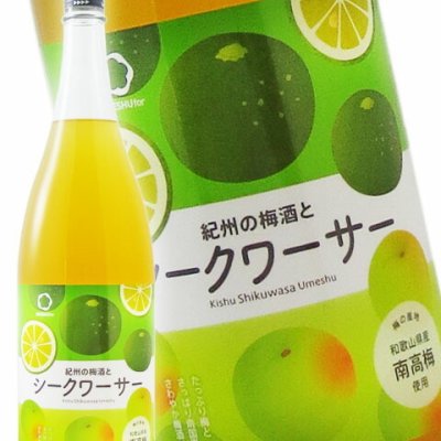 紀州の梅酒とシークワーサー 1.8L/ 和歌山県 中野BC【 8132 】【 梅酒 】【 ハロウィン 贈り物 ギフト プレゼント 誕生日 結婚のお祝い 】