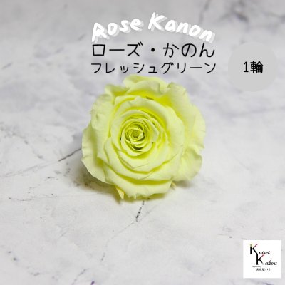 大地農園！プリザーブドフラワー 「ローズかのんL フレッシュグリーン 1輪」プリザ 花材 ハーバリウム おしゃれ かわいい プレゼント 贈り物　オオチノウエン