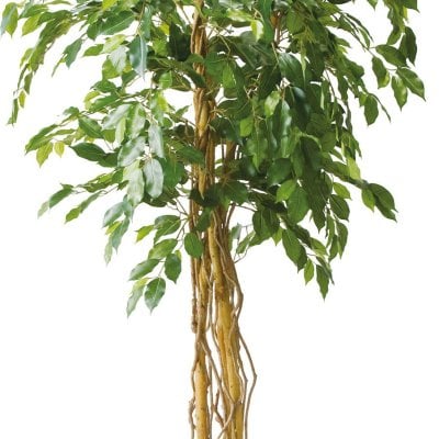 人工観葉植物　フェイクグリーン　ベンジャミン1.8ｍ　大型グリーン