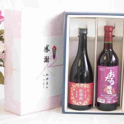 冬の贈り物お歳暮 感謝の贈り物ボックス 香る南高梅酒 紅南高と国産ワインセット(おたる醸造 キャンベルアーリ赤ワイン 辛口(北海道)720ml紅南高 紀州梅酒(和歌山県)720ml