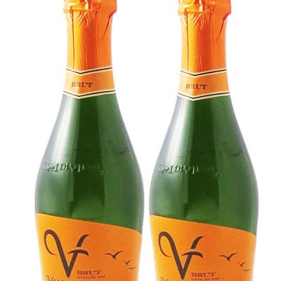 バルディビエソ ブリュット ハーフ 375ml  × ２本セット 【 チリ 白スパークリングワイン 】【 3141 】