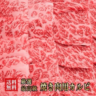 送料無料【阿波黒牛】最高級霜降り極上カルビ450ｇ【225ｇ×2】　　　　　【牛肉/牛/肉/焼肉/牛　カルビ/霜降り/入学/卒業/ひな祭り/ホワイトデー/家飲み/和食/パーティー/おうち居酒屋/ご褒美/ギフト/お歳暮/プレゼント/阿波黒牛お中元/母の日/父の日】