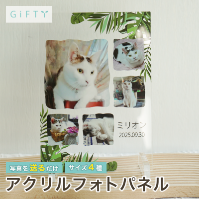 フォトパネル 写真立て アクリル 名入れ オーダーメイド ペット メモリアル 猫 ねこ ネコ 愛猫 供養 仏具 遺影 写真入り ギフト プレゼント 贈り物 誕生日 記念日 記念品 インテリア 玄関 リビング 卓上 飾る 縦 横 オリジナル 印刷 プリント お祝い 家族 思い出 四十九日 一周忌 お盆 ペットロス 虹の橋 名前 日付入り 植物 ボタニカル【A14】