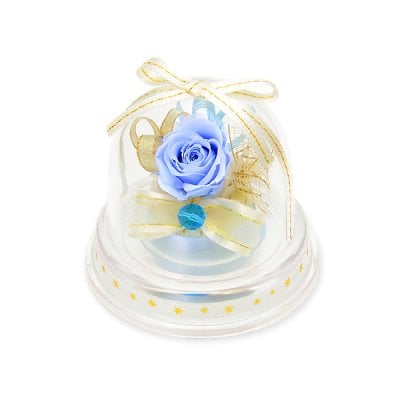 誕生石カラー 3月 アクアマリン プリザーブドフラワー ドームアレンジ メッセージカード付 お花ソムリエ フラワー