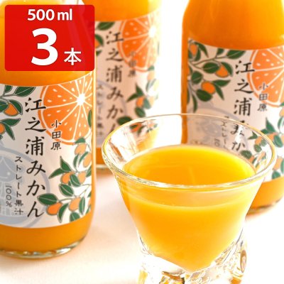 江之浦みかん 100％ストレート果汁 500ml 3本入 ギフトセット ジュース うんしゅうみかん 国産 みかんジュース 温州みかん ストレート 柑橘 果汁 飲料【沖縄県・離島 配送不可】