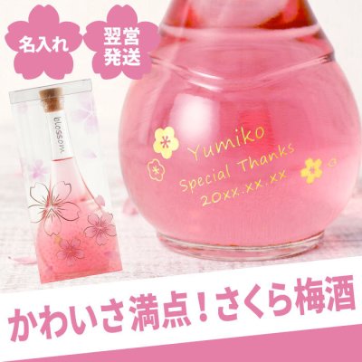 【 送料無料 】【 名入れ さくら 梅酒（単品） 500ml 】 プレゼント 女性 30代 40代 50代 60代 70代 お酒 南高梅 ピンク 金箔 かわいい おしゃれ 名前入り 名入り ギフト 誕生日 母 妻 彼女 祖母 退職 還暦 古希 長寿 記念品 贈り物 おすすめ お祝い