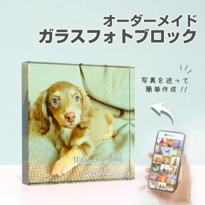 【 ガラスブロック C01 】名入れ 文字入れ オーダーメイド オリジナル 写真 プリント フォト 写真立て フォトフレーム 壁掛け アクリル プレゼント ギフト 記念 記念日 誕生日 お祝い 送料無料 おしゃれ お洒落 かわいい 流行 人気 贈り物 周年 内祝い インテリア ペット写真 ペットグッズ ガラスキューブ 犬 猫 イヌ ネコ うちの子 フォト キューブ