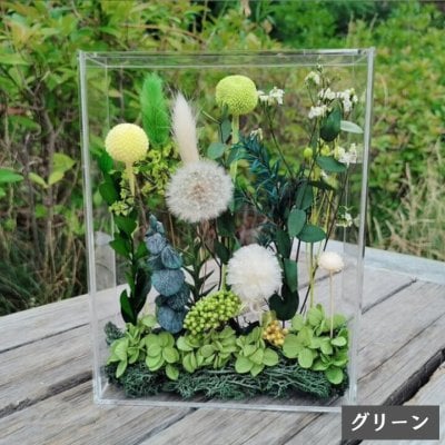 ドライフラワーアレンジ アクリルボックス 母の日 父の日 敬老の日 誕生日 おしゃれ 選べる12種類 ナチュラル 人気 お花 ギフト お誕生日 プレゼント ウェディング 結婚式 両親 花束贈呈 送別会 退職祝い 定年 結婚祝い
