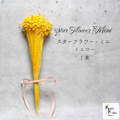 大地農園！「スターフラワー ミニ イエロー 1束 約12g（約400本）」 ドライフラワー　プリザーブドフラワー 花材 プリザ アレンジ 資材 敬老の日