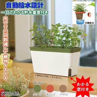 プランター 27cm 植木鉢 給水鉢 底面給水 スリット鉢 ハーブ 多肉植物鉢 オフィス 園芸 ガーデン 送料無料