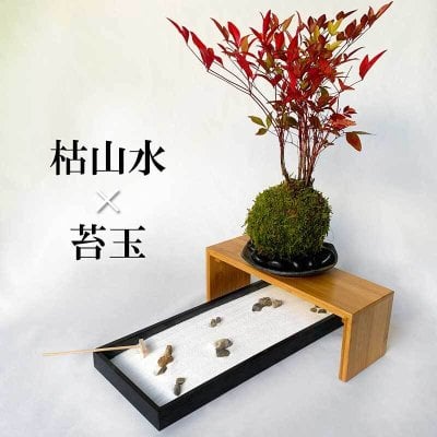 インテリア 枯山水×苔玉～枯山水（龍安寺）+南天苔玉　　器・天然孟宗竹飾り台セットミニチュア庭園 ジオラマ zengarden 禅ガーデン 難を転ずる 縁起物 紅葉 こけだま なんてん苔玉 かわいい 卓上おうち時間 巣ごもり時間　ナンテンナ  苔 こけ かれさんすい