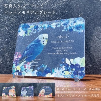 写真入り ペットメモリアルプレート ブルーベリー｜選べるフルーツシリーズ 全４種 名入れ アクリル 犬 猫 うさぎ 鳥 ペット供養 遺影 手元供養 お悔やみギフト