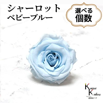 大地農園！プリザーブドフラワー 「シャーロット ベビーブルー 選べる個数」 プリザ 花材 ハーバリウム おしゃれ 水色 ブルー バラ  かわいい プレゼント 贈り物 オオチノウエン