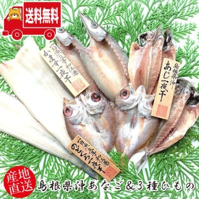 (地域限定送料無料)岡富商店 島根県沖あなご＆3種ひもの(あなご1枚(約150g)・のどぐろ2枚(計100g)あじ2枚(計140g)・かます2～3枚(計160g))(sot109)