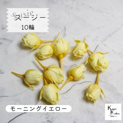 大地農園！プリザーブドフラワー 「スージー モーニングイエロー 10輪」プリザ 花材 ハーバリウム おしゃれ かわいい プレゼント 贈り物　オオチノウエン