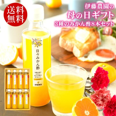  退職祝い 新築祝い プレゼント 飲むお酢 果実酢 みかん 不知火 八朔 8本 270ml 無添加 ストレート果汁 米酢 乳酸菌 プレゼント 内祝いい ギフト 伊藤農園 和歌山 お返し 贈り物 詰め合わせ 誕生日 結婚祝い 出産祝い 内祝い ギフト