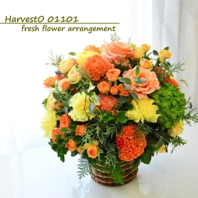 即日発送 花 フラワーアレンジメント 年末 お歳暮 誕生日 御祝 ギフト お礼 送料無料 生花 お祝いアレンジメント 日頃の感謝 御祝 記念日 開店御祝い フラワーギフト 展示会 楽屋花 受付 ボスデー a ng