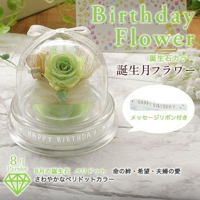 8月：ペリドットカラー （黄緑） 8月誕生日 プレゼント 女性 男性 ホワイト ｜ ペリドット（8月誕生石カラー）グリーンのプリザーブドフラワー｜8月生まれ 誕生日フラワーギフト アレンジメント【花ソムリエ】