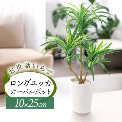 フェイクグリーン ロングユッカオーバル 通販 フェイク グリーン 人工観葉植物 インテリアグリーン イミテーショングリーン インテリアプランツ 人工樹木 ポット 鉢植え アーティフィシャルグリーン 人工植物 おしゃれ リビング 寝室 インテリア GLA-1230