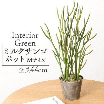観葉植物 フェイク 大型 通販 フェイクグリーン ミルクブッシュ アーティフィシャルグリーン ミドリサンゴ インテリアグリーン 人工観葉植物 大きめ 鉢植え ポット リビング おしゃれ ギフト GLA-1359 ミルクサンゴポットＭ ポピー YDM