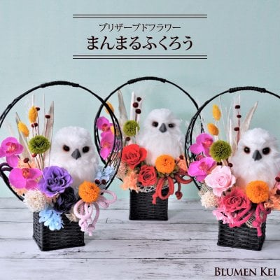 送料無料 プリザーブドフラワー 花 和風 まんまるふくろう／メッセージカード プレゼント ギフト 結婚記念日 結婚祝い 誕生日 お祝い 女性 妻 アニマル 動物 かわいい フラワー 開店祝い 入学祝い 男性 記念日 還暦 米寿 30代 40代 50代 60代 梟 白ふくろう 縁起 縁起物