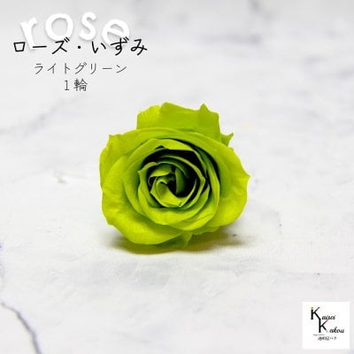 大地農園！プリザーブドフラワー 「ローズいずみ 1輪 ライトグリーン」プリザ 花材 ハーバリウム おしゃれ かわいい プレゼント 贈り物　オオチノウエン バラ 薔薇 ローズ rose