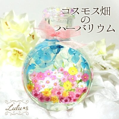 【敬老の日・お見舞い】 コスモス 畑 ハーバリウム 秋桜 プリザーブドフラワー 花 ギフト プレゼント 祖母 施設 病院 お供え 景色 風景 絵画 ボトル 癒し インテリア 雑貨