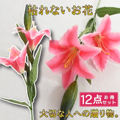 カサブランカの花束】人気ランキング2026年決定版