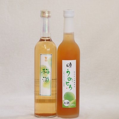 梅酒特集2本セット(奥の松純米酒ベースうめとろ(福島) 百助梅酒(大分)) 500ml×2本