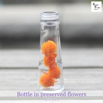大地農園「ボトルインフラワー　センニチコウ　千日紅　フルーティオレンジ　4個　円錐50ml」プリザーブドフラワー　プリザ　ハーバリウム　小花 ドライフラワー ハーバリウム アロマワックスバー サシェ キャンドル 花材