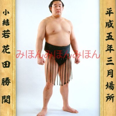 若花田勝関　優勝ミニ額 大相撲ミニ額 大相撲優勝額　平成５年３月場所 優勝 小結 若花田勝関（初優勝） ※受注生産品のため、ご注文後はいかなる理由でも返品、返金はできません