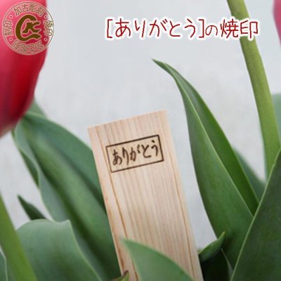 ありがとう 焼き印 焼印 祝い 焼きごて やきごて 卒業式 卒団 PTA　贈り物 お別れ パーティー 引っ越し 転勤 お礼  ギフト プレゼント パン作り 饅頭 オリジナル お菓子 電熱式対応可能 電気 半田ごて お弁当 台湾カステラ 大判焼き 卵焼き 敬老の日 母 誕生日 父 お菓子作り
