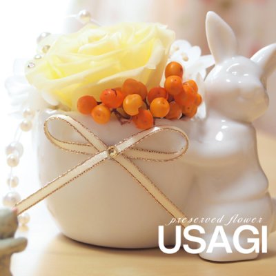 【クリアケース付き】プリザーブドフラワーギフト・可愛いうさぎアレンジ★全３色（ご入学祝い、お誕生日プレゼントに最適です）