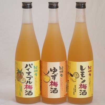 果物梅酒3本セット(和歌山県産レモン梅酒 ぷかぷか柚子の香りゆず梅酒 沖縄県産パイナップル梅酒) 720ml×3本