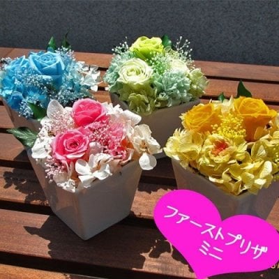 初めての枯れない魔法のお花 【ファーストプリザ・ミニ】　送料無料！