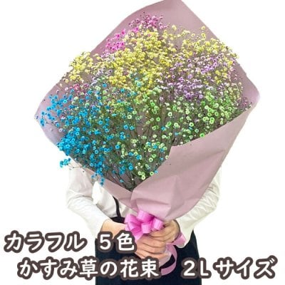 かすみ草 花束 カスミソウ ブーケ 2L 花束 カラフル かすみ草 レインボー カスミソウのブーケ かすみそうのブーケ フラワーギフト ドライフラワー  誕生日 お誕生日 インスタ映え Instagram インスタグラム 退職 送別 記念日 敬老の日 誕生日 プレゼント 結婚