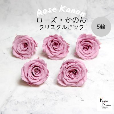 大地農園！プリザーブドフラワー 「ローズかのんL クリスタルピンク 5輪」プリザ 花材 ハーバリウム おしゃれ かわいい プレゼント 贈り物　オオチノウエン