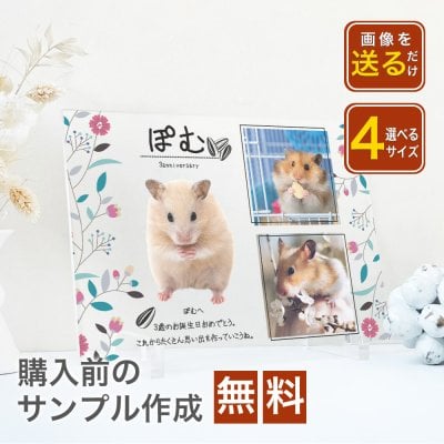 A48 【名入れ無料】 ペット 名入れ フォトフレーム 写真立て アクリル 名前入り フォト スタンド 卓上 透明 クリア 縁なし 写真入り ギフト プレゼント ラッピング 贈答品 お祝い 内祝い 誕生日 記念日 父の日 母の日 こどもの日 送料無料 仏具　お葬式