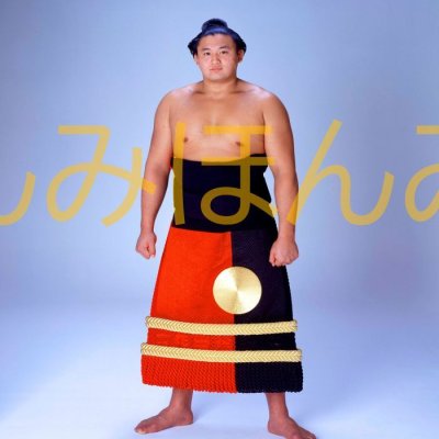 貴花田光司関　優勝ミニ額 大相撲ミニ額 大相撲優勝額　平成４年９月場所 優勝 小結 貴花田光司関（２回目の優勝） ※受注生産品のため、ご注文後はいかなる理由でも返品、返金はできません