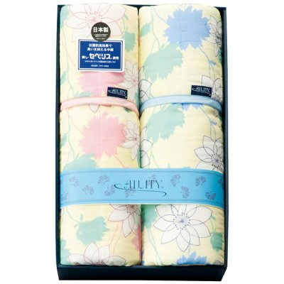 【ギフト対応無料】アイリティ 東レ・抗菌防臭わた入キルト肌掛布団2枚セット (A2412) ※送料無料(北海道・沖縄は除く)